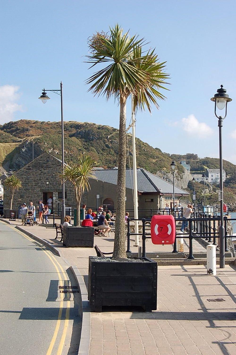 Beach Vista Apartment Three In Barmouth Buitenkant foto